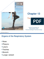 Anaphy 13 Respiratory