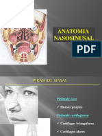 Anatom. Nasosinusal