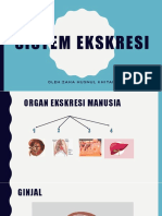 PPT Sistem ekskresi