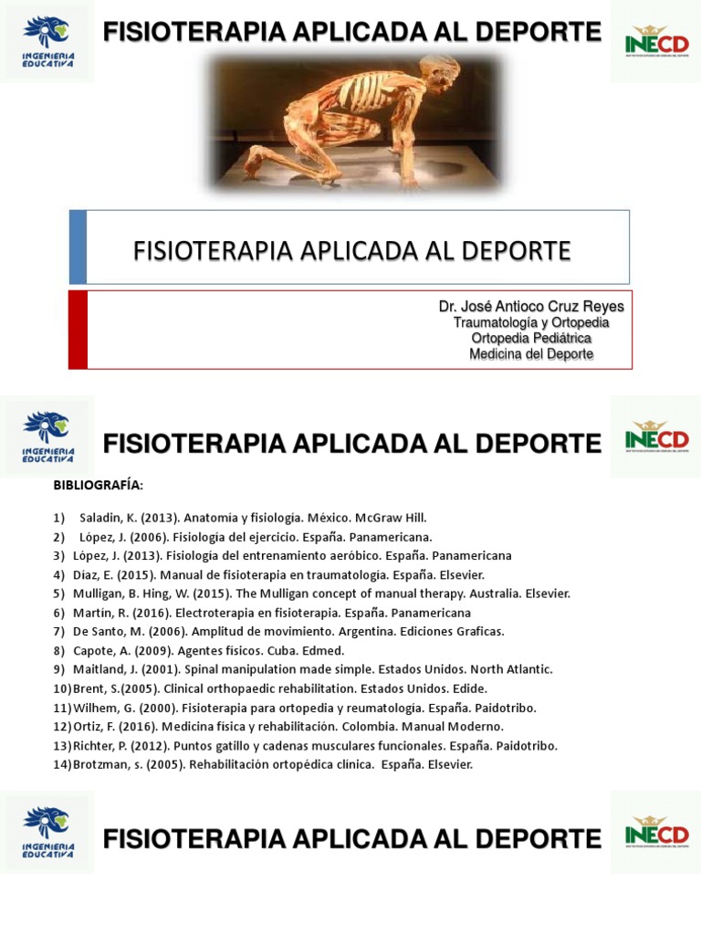 Fisioterapia Deporte Morfolog a PDF Terapia F sica Anatom a