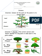 Science Examination for Nursery- Plants