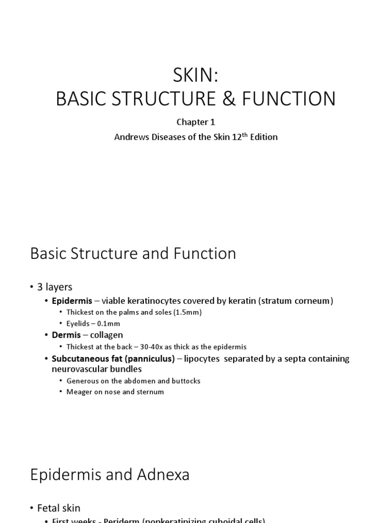 Andrews - Chapter 1 - Skin Basic Structure and Function | PDF ...