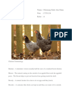 Terminologi Ayam