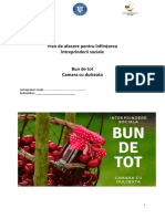 Plan afaceri - Bun de tot.docx