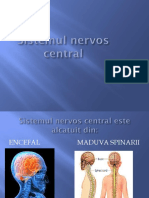Sistemul Nervos Central