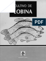 lobinaVbn.pdf