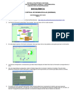 Tarea Virtual Sobre ENZIMAS 2018-B