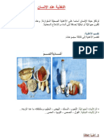 التغذية عند الإنسان