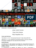 Atlas de Neuroanatomia Humana em