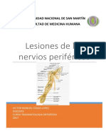 1 Lesion de Nervios Perifericos