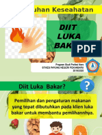 Gizi Luka Bakar