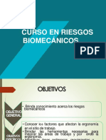 Riesgo Biomecanico