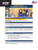Diplomado de Operadores en Plantas de Gas - Virtual