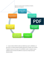 BIOQUIMICA ACTIVIDAD.docx