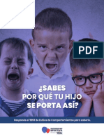 Estilo_y comportamientos.pdf