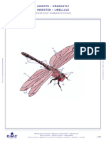 Https WWW - Dmc.com Media DMC Com Patterns PDF PAT0478 Insects - Dragonfly