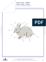Https WWW - Boutique-Dmc - FR Media DMC Com Patterns PDF PAT0411 Ipnot X DMC - Rabbit