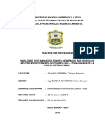 Informe-Ppp Final PDF