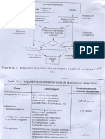 tablas y figuras 2