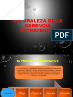 Naturaleza de La Gerencia Estrategica