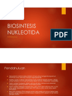 Biosintesis Nukleotida