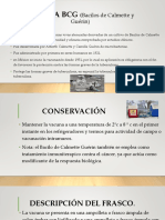 Exposición BCG