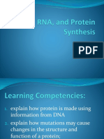 Dna Rna