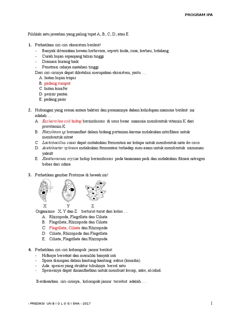 Contoh 2 Soal Un Biologi Sma Ma 2017