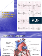 8 Ekg-Normalaritmiaima