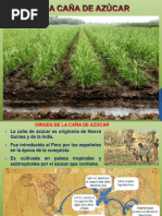 Manejo Agronómico de Caña de Azúcar | PDF | Suelo | Labranza