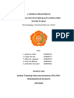 LAPORAN PRAKTIKUM - Salin-Dikonversi