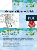 Mengenal Haemodialisis