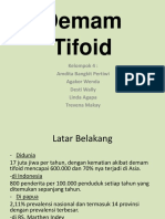 Demam Tifoid II
