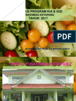 Evaluasi Kia Gizi Puskesmas Ketapang Tahun 2017