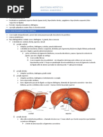 Sistema  digestório – anatomia hepatica