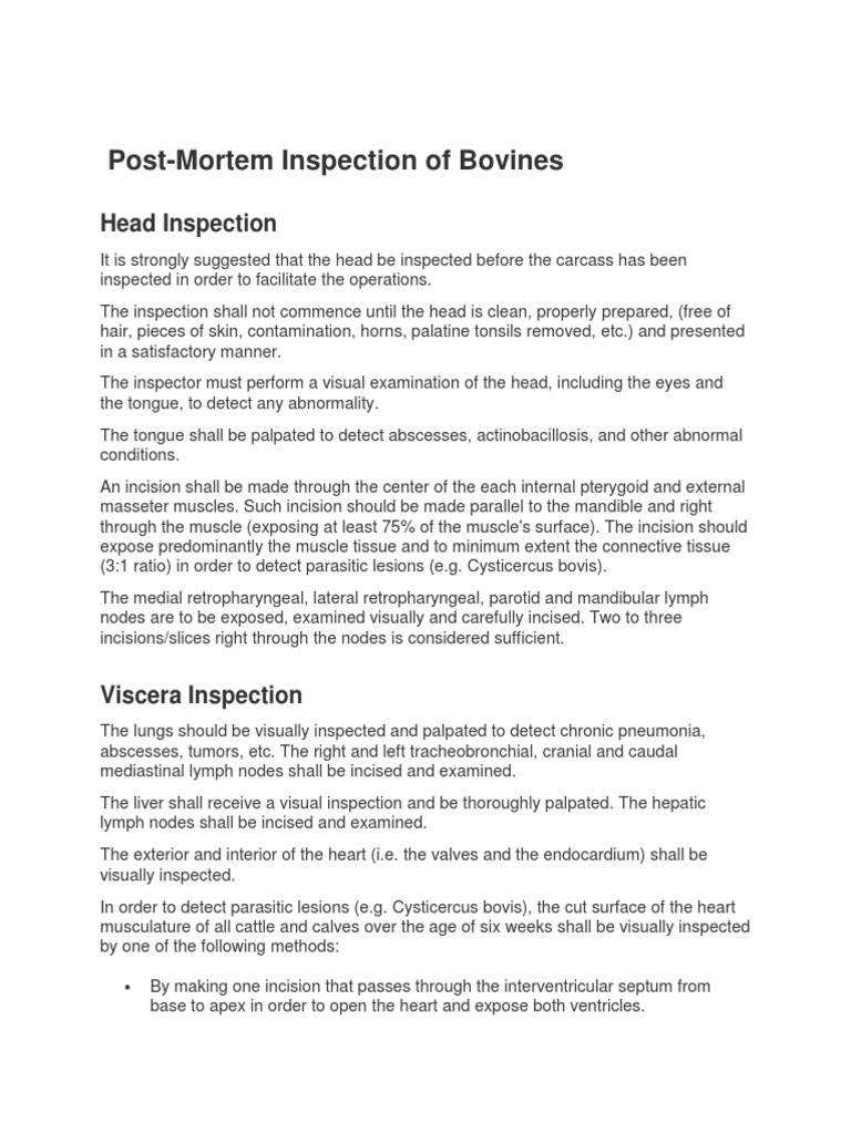 PostMortem Inspection of Bovines PDF Autopsy Heart