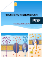 Transpor membran.pdf