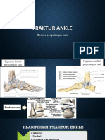 ANKLE INJURIES