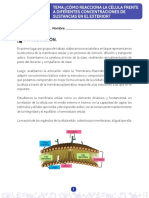 Cómo Reacciona La Célula Frente a Diferentes Concentraciones de Sustancias en El Exterior