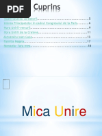 Informatica-Mica Unire