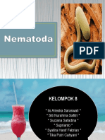 KELOMPOK 8 NEMATODA.pptx