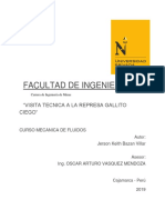 INFORME FLUIDOS.docx