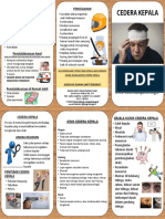 Imlda Leaflet-Cedera-Kepala PDF