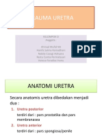 Trauma Uretra