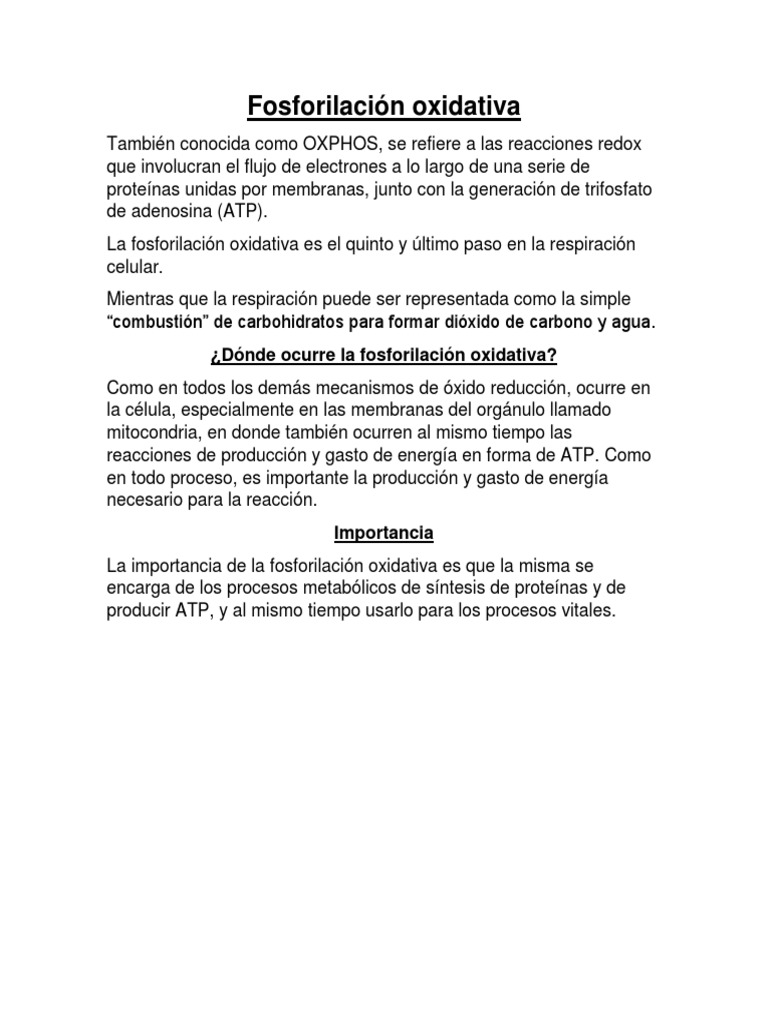 Fosforilación Oxidativa en Mitocondrias | PDF | Ciencia y matemáticas, image size:768x1024