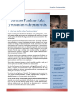 Derechos Fundamentales y Mecanismos de Protección PDF