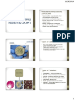 Culture (White) PDF