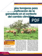 REVISTA-78-ARTÍCULO-DANILO-PEZO.-Tecnologías-forrajeras-para-la-intensificación-de-la-ganadería.pdf