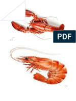 Crustaceans Print