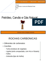 14-combustiveis-fosseis (1).pdf